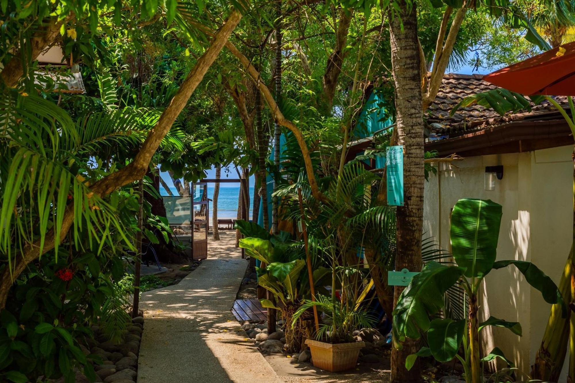 The Coast Beachfront Hotel Tamarindo Exteriör bild